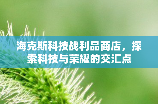 探索科技与荣耀的交汇点图片