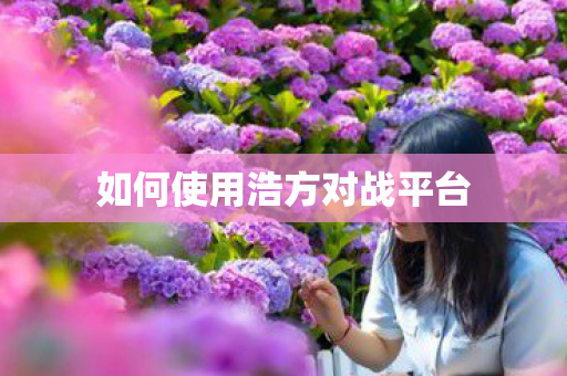 如何使用浩方对战平台图片