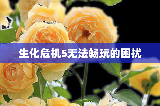 生化危机5无法畅玩的困扰图片