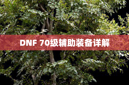 DNF 70级辅助装备详解图片