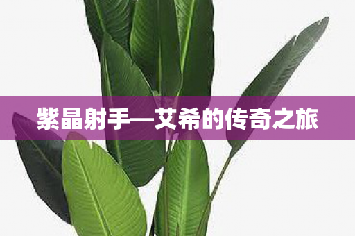 艾希的传奇之旅图片