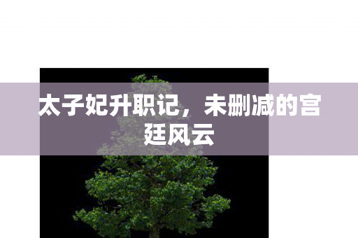 未删减的宫廷风云图片