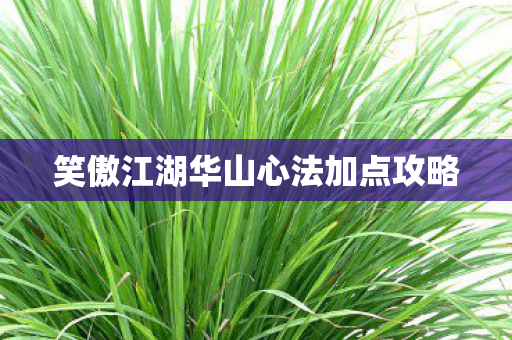 笑傲江湖华山心法加点攻略图片