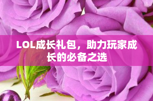 助力玩家成长的必备之选图片