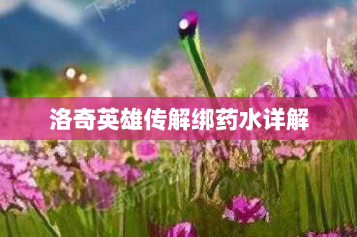 洛奇英雄传解绑药水详解图片