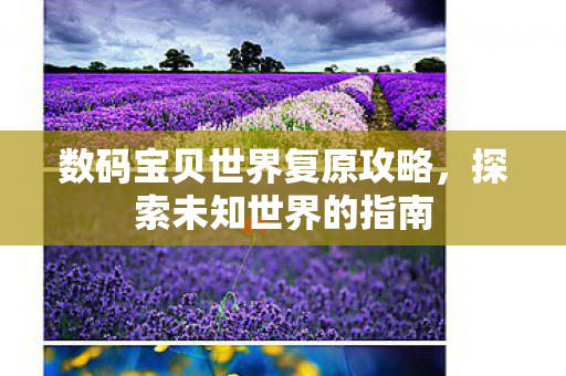 数码宝贝世界复原攻略图片