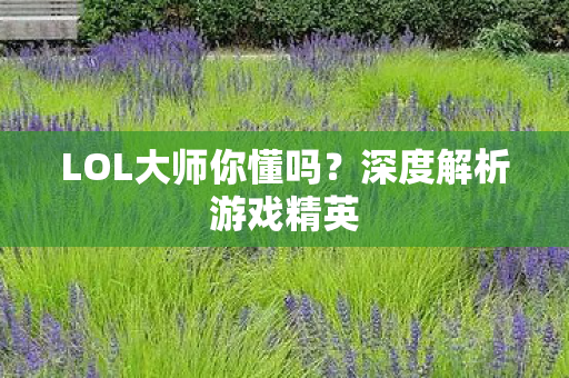 LOL大师你懂吗图片