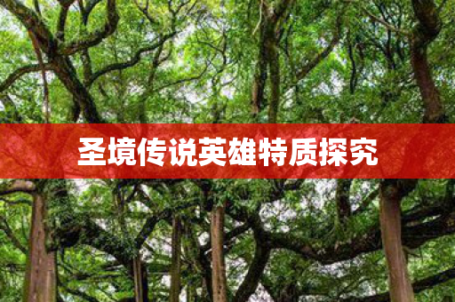 圣境传说英雄特质探究图片