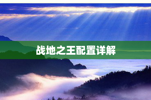 战地之王配置详解图片