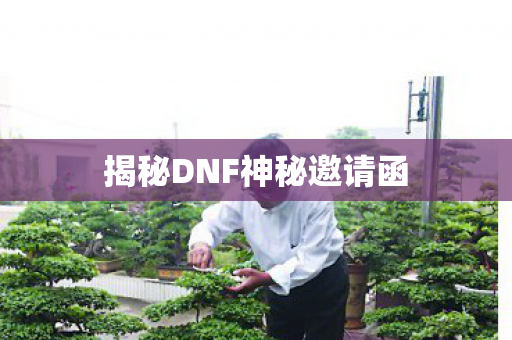 揭秘DNF神秘邀请函图片