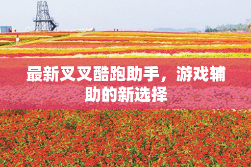 最新叉叉酷跑助手图片