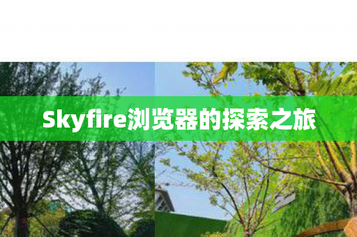 Skyfire浏览器的探索之旅图片