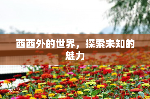 探索未知的魅力图片