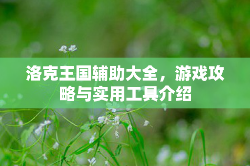 游戏攻略与实用工具介绍图片