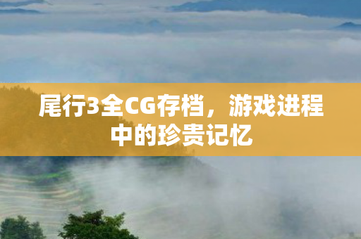 游戏进程中的珍贵记忆图片