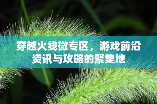 游戏前沿资讯与攻略的聚集地图片