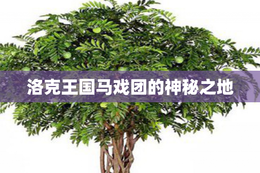 洛克王国马戏团的神秘之地图片