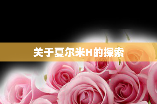 关于夏尔米H的探索图片