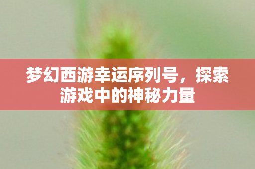 探索游戏中的神秘力量图片