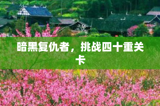 挑战四十重关卡图片