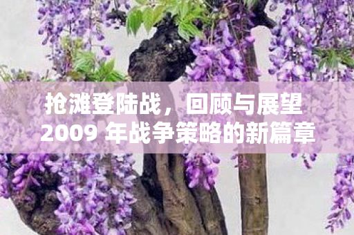 回顾与展望 2009 年战争策略的新篇章图片