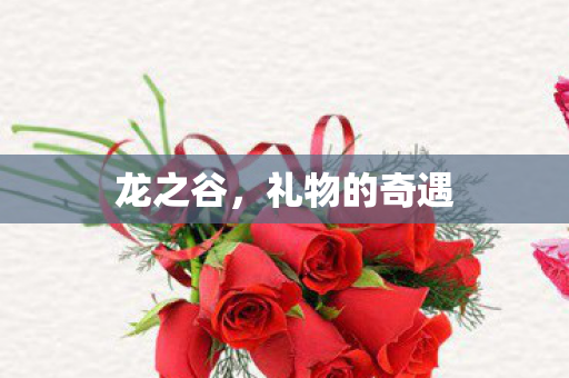 礼物的奇遇图片