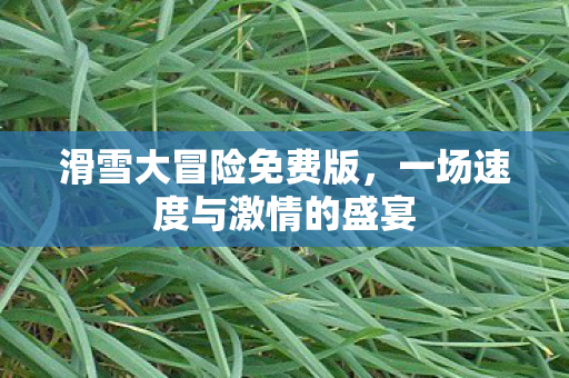 一场速度与激情的盛宴图片