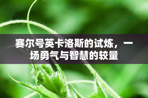 赛尔号英卡洛斯的试炼图片