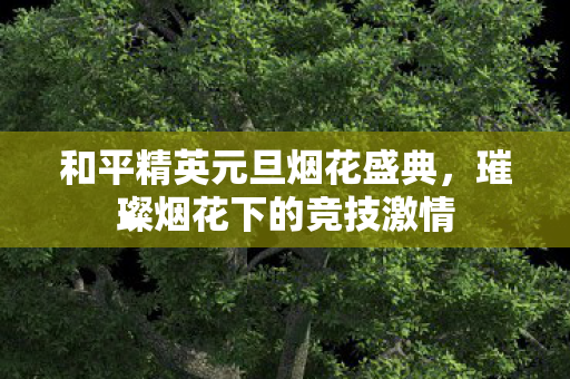 和平精英元旦烟花盛典图片