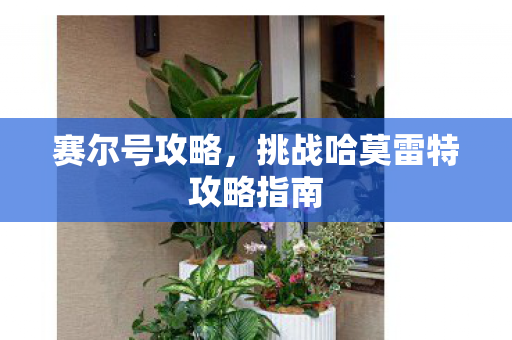 挑战哈莫雷特攻略指南图片