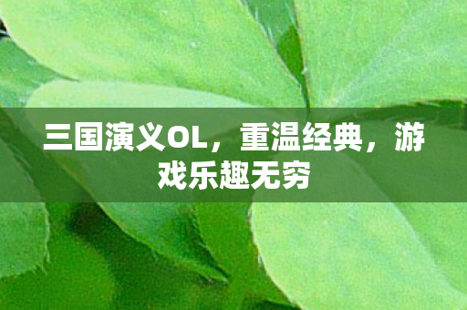 三国演义OL图片