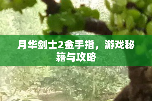 月华剑士2金手指图片
