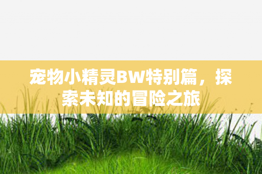 宠物小精灵BW特别篇图片