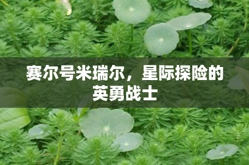星际探险的英勇战士图片