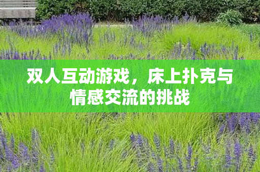 床上扑克与情感交流的挑战图片
