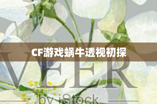 CF游戏蜗牛透视初探图片