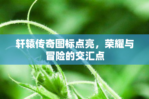 荣耀与冒险的交汇点图片