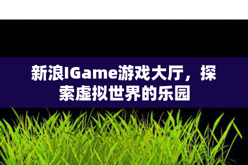 新浪IGame游戏大厅图片