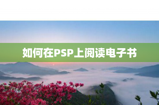 如何在PSP上阅读电子书图片