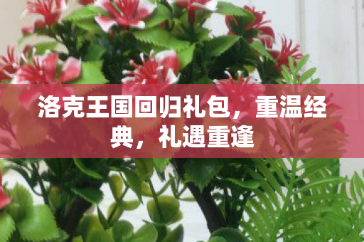 洛克王国回归礼包图片