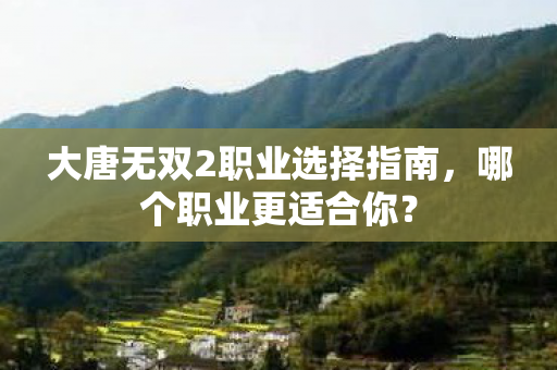 大唐无双2职业选择指南图片
