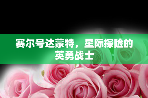 星际探险的英勇战士图片