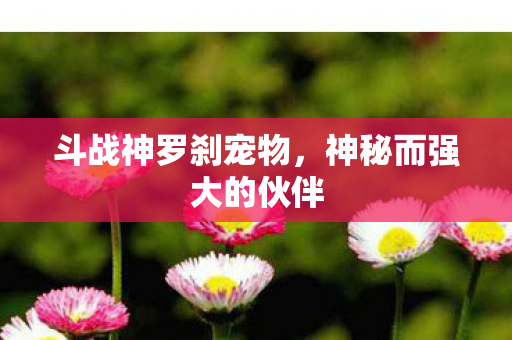 神秘而强大的伙伴图片