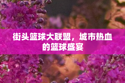 城市热血的篮球盛宴图片