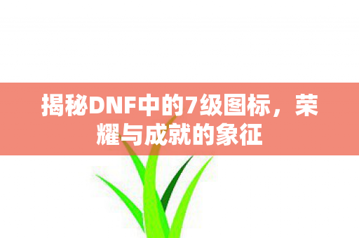 揭秘DNF中的7级图标图片