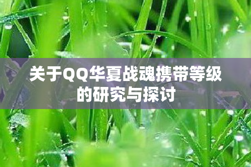 关于QQ华夏战魂携带等级的研究与探讨图片