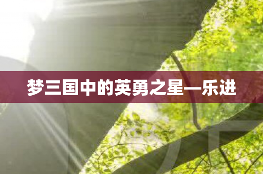 梦三国中的英勇之星图片