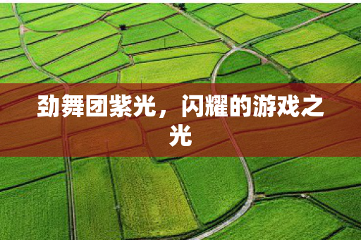 闪耀的游戏之光图片