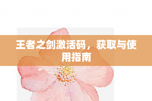 王者之剑激活码图片