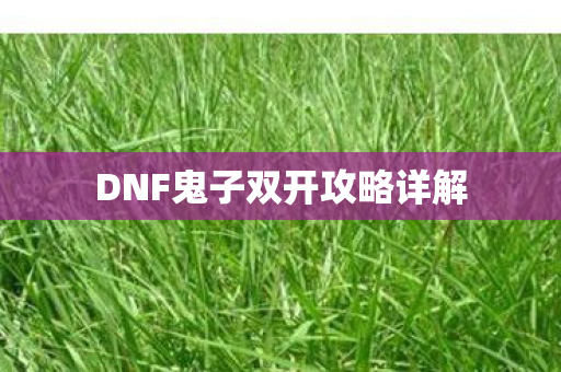 DNF鬼子双开攻略详解图片
